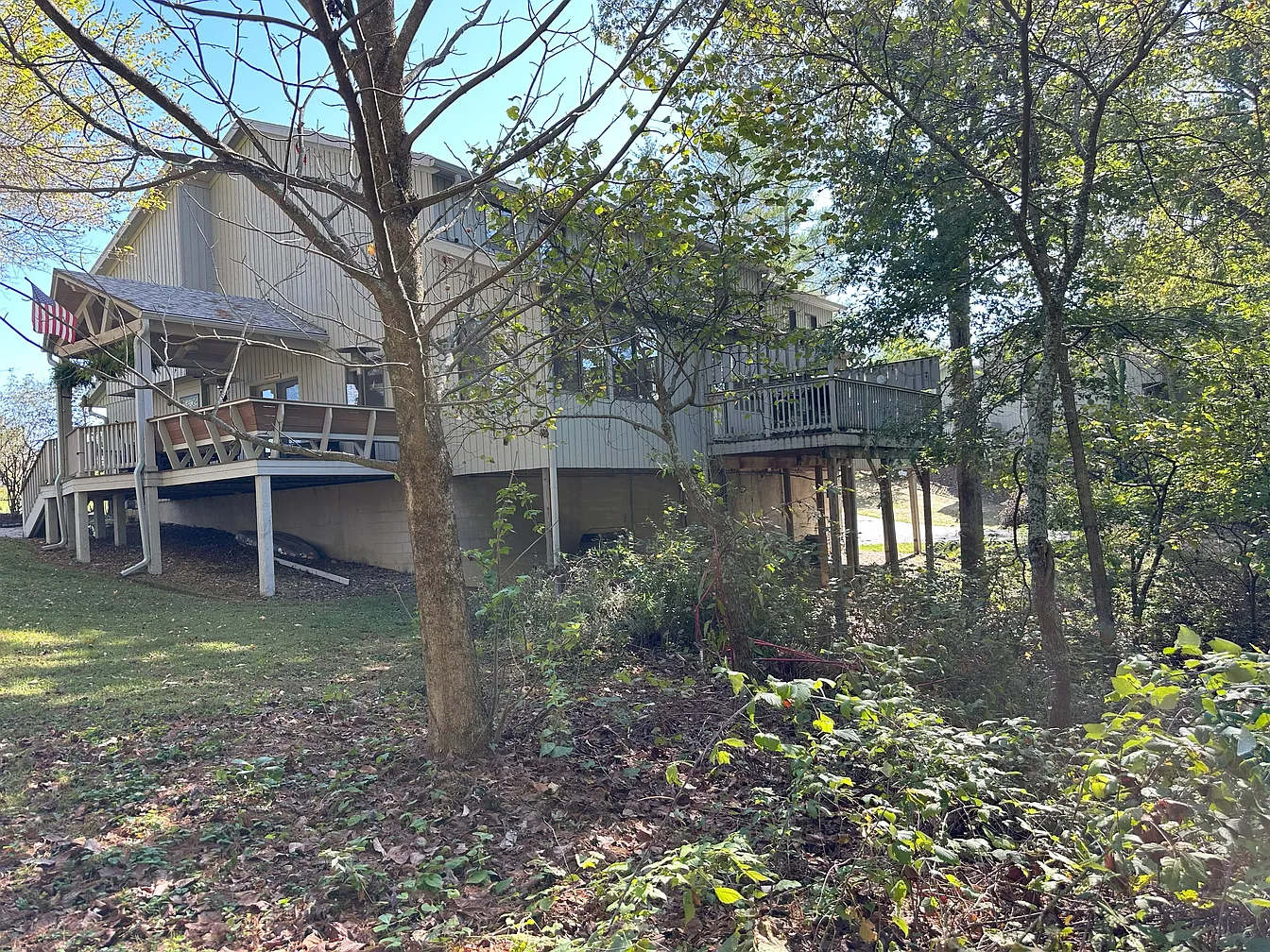 Backyard View